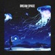 Dream Space Single