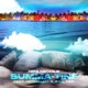 Summa Tine Single