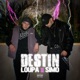 Destin feat Simo Single