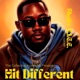 Hit Different feat Shake N I C E FasciN8 Single