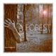 A Forest feat Navigator Project Single