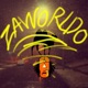 Zaworldo Single