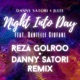 Night Into Day feat Danielle Ciofani Single