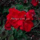 Always With You feat Draw Beats Single