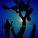 Paradox Single