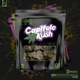 Capitole Kush Single