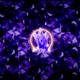 Mdma Extáze Single