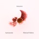 Autumn Single