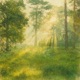Willowshade Single
