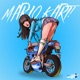 Mario Kart Single