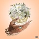 Euphoria EP