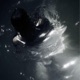Moonlight Single