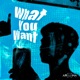 What You Want Single