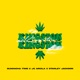 Kingston Single