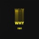 Why Single