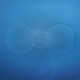 Little Bubble edit Single