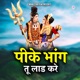 Pike Bhaang Tu Laad Kare Single