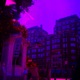 purp swag Single