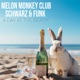 A Day at the Beach Schwarz Funk Remix Single