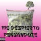 Me despierto pensándote Single