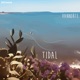 Tidal Single