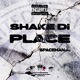 Shake Di Place Single