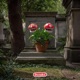 Mario kart Single