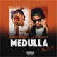 Medulla feat Mr Berry Single
