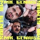 MR GENIUS Single