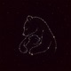 big mother bear Single