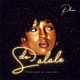 Do Salale Single