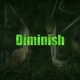 Diminish Single
