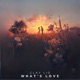 What s Love Single