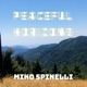 Peaceful Horizons Single
