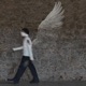 Golden Wings Plastic Sky Single