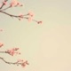春の約束 Single