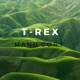 T Rex Single