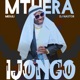 IJongo feat Mesuli Dj Nastor Single