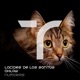 Numbers Single