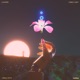 Lonely Light Single