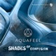Shades of Confusion Single