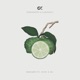 Bergamot feat Plini RO1 Single