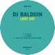Lost Cat Single