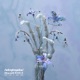 Remembr Skylark Remix Single