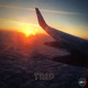 Trip Single