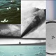 Air Single