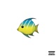 Big Fish Single