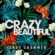 Crazy Beautiful EP