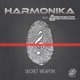 Secret Weapon Single