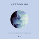 Letting Go feat David Shane Single